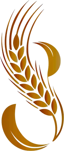 Grupo San Ángel Xireli